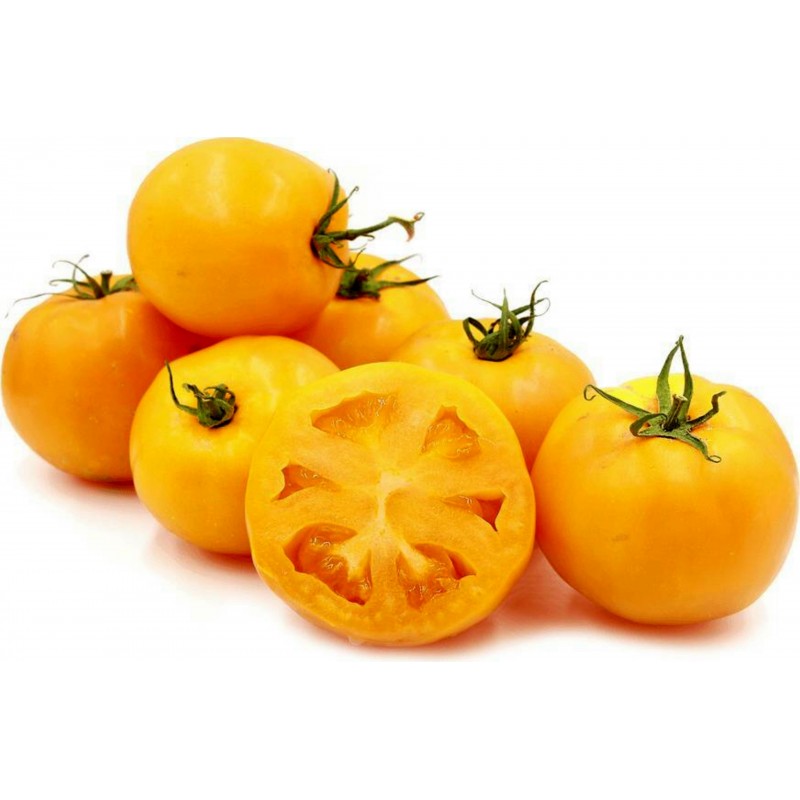 Graines Tomates jaunes-oranges Golden Jubilee 1.55 - 2