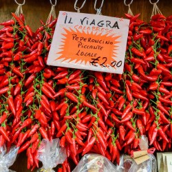Italian PEPERONCINI Hot Chili Seeds 1.55 - 1