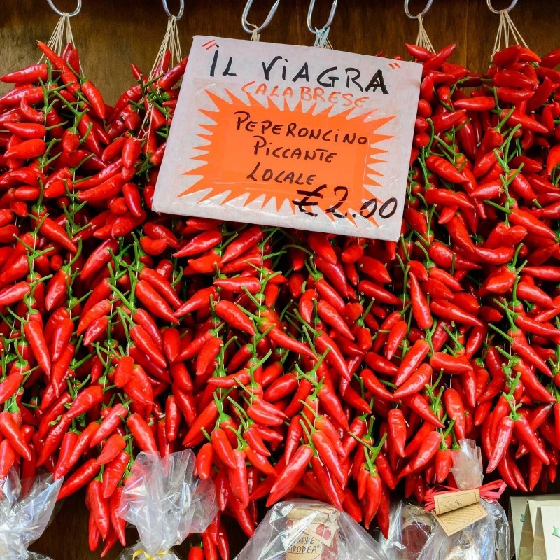 Italian PEPERONCINI Hot Chili Seeds 1.55 - 1