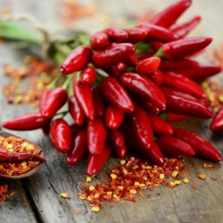 Italian PEPERONCINI Hot Chili Seeds 1.55 - 3