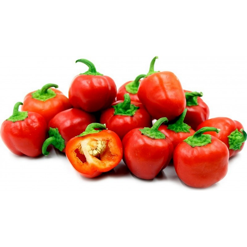 Σπόροι Μίνι γλυκό πιπεριές MINI BELL κόκκινος 1.5 - 1