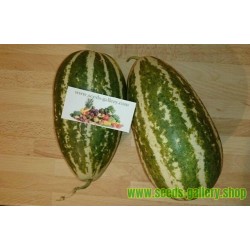 Sweet Thai Musk Melon Seeds
