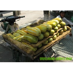 Sweet Thai Musk Melon Seeds