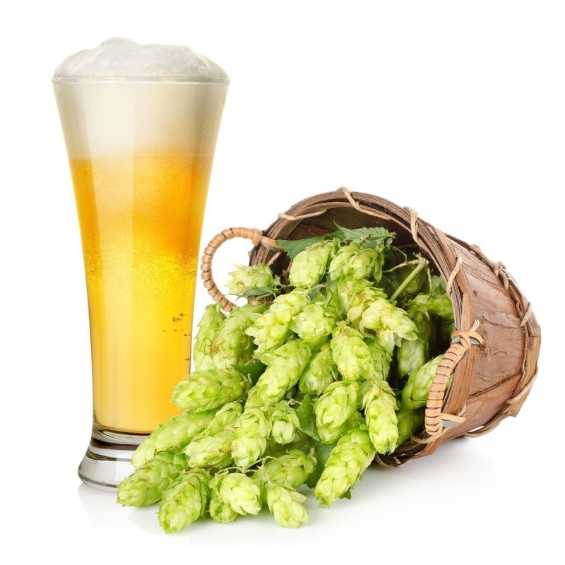 domein kalf rustig aan Beer Hops Seeds (Humulus lupulus) Prijs: -€1.85