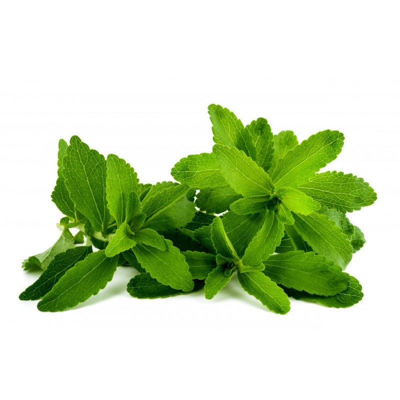 Stevia rebaudiana Frön 'Sweet Herb' 1.9 - 2
