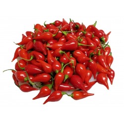 Biquinho - Chupetinho Red or Yellow Chili Seeds 2.05 - 8