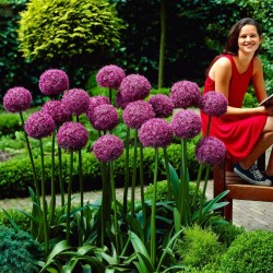 Porro Giant Allium Sensation Mix - bulbi 4.5 - 7