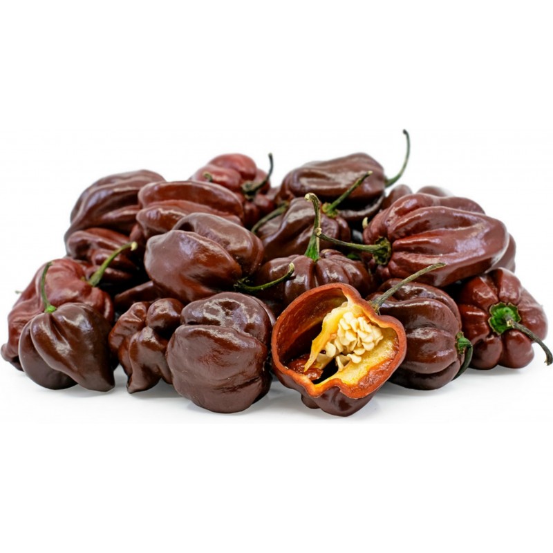 Σπόροι πιπεριά Habanero Chocolate 2 - 3