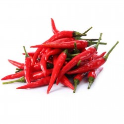 Bålgetingar (Vespa) chili frön 2.45 - 3