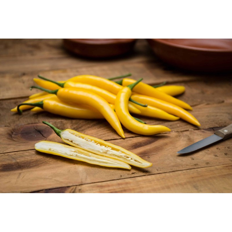 150+ Graines Piment chaud serbe "Jaune Feferona" | 2,85 €