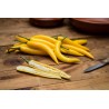 150+ Graines Piment chaud serbe "Jaune Feferona" | 2,85 €