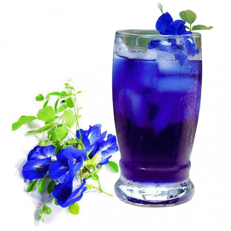 Details about   100 Single Layer Blue Butterfly Pea Seeds CLITORIA TERNATEA VINE FLOWER OGANIC 