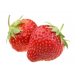 Comment faire pousser des fraises à partir de graines 0 - 1