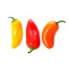 Hot Chilli Pepper Seeds SANTA FE GRANDE - GUERO | 1,55 €