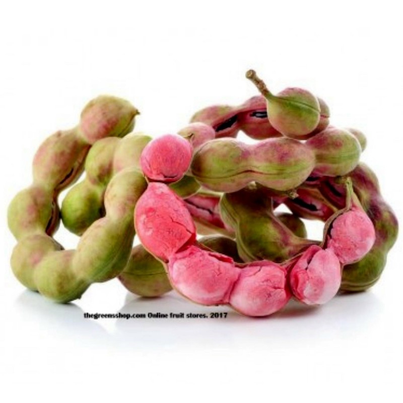 Manila Tamarind Seme (Pithecellobium dulce) | 2,50 €