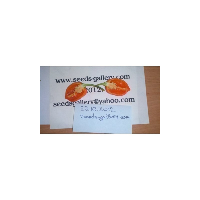 Graines de Piments Habanero Red Savina Prix €2.45