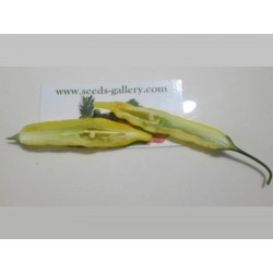 Lemon Drop Chili Seeds (Capsicum baccatum) 1.5 - 4