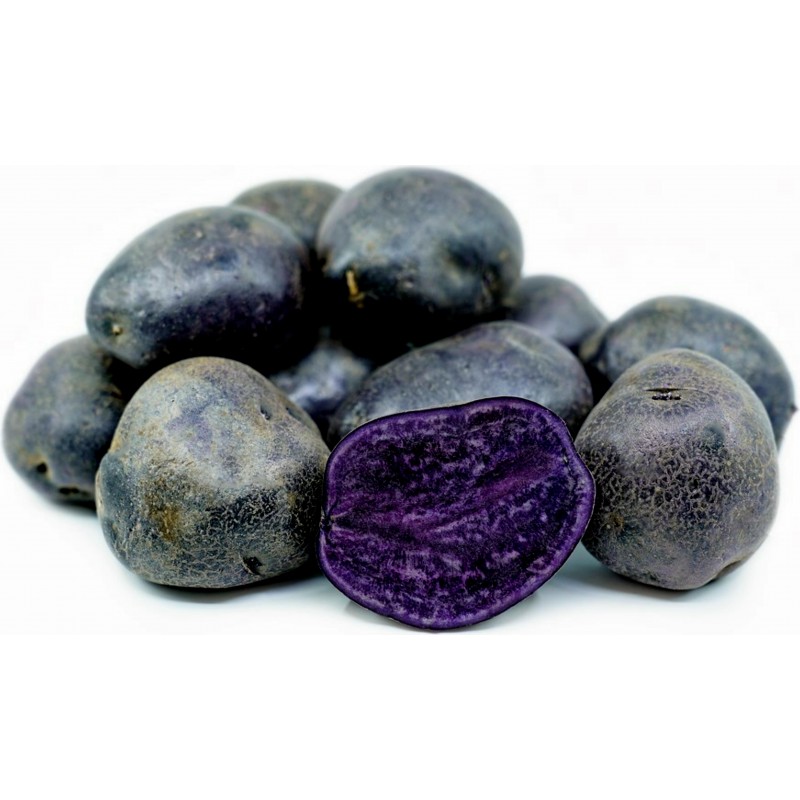 Semi di Patate Viola Peruviano | 4,00 €