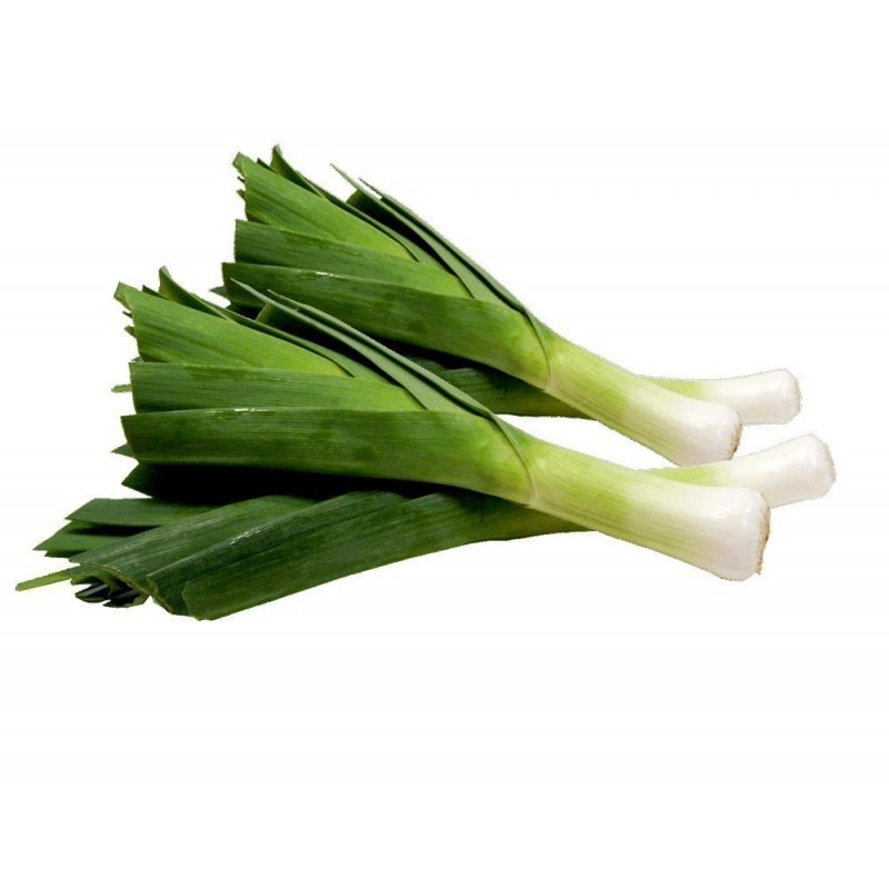 Leek What Are