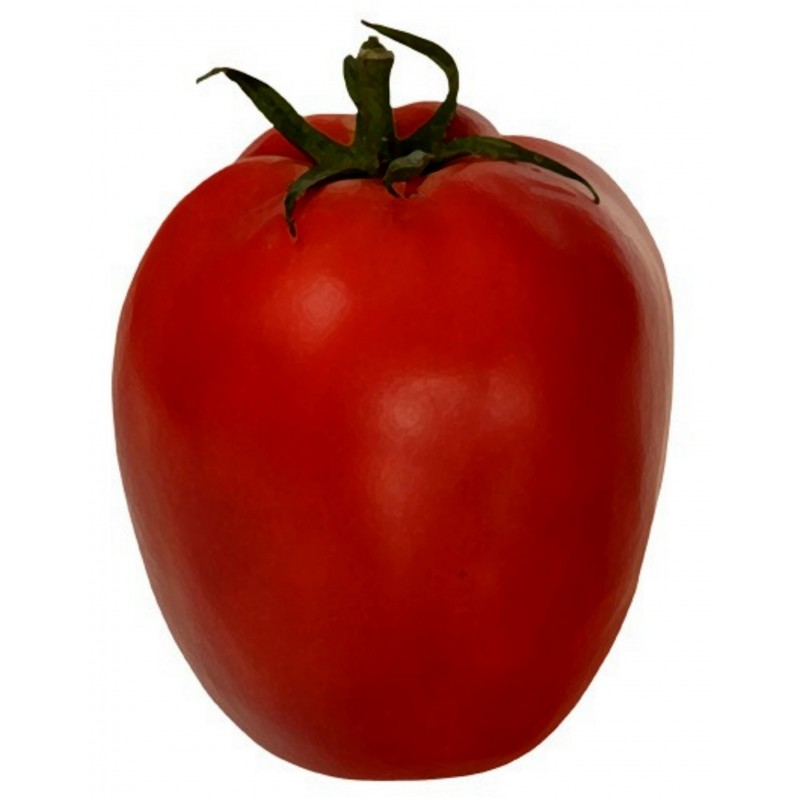Alparac Tomatfrön - Variation från Serbien 1.95 - 1
