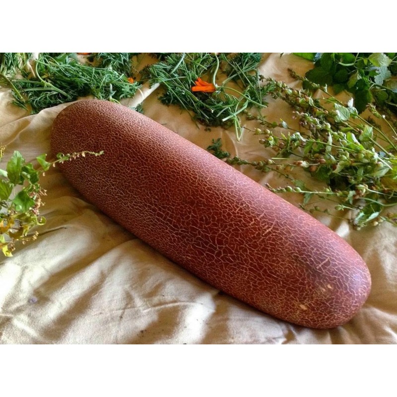 Poona Kheera Gurka Frön | 2,35 €