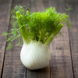 FLORENCE Fennel Seeds large bulbs 1.85 - 1