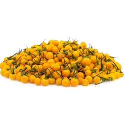 Seco frutas frescas Charapita com Sementes 20 - 1
