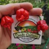 Carolina Reaper Seeds Red or Yellow Worlds Hottest 2.45 - 2