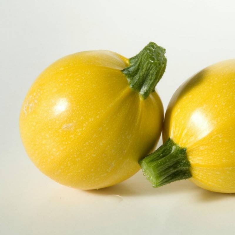 Yellow Round Squash - Zucchini Seeds 1.95 - 4