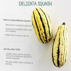 Zucchini frön DELICATA 2 - 1