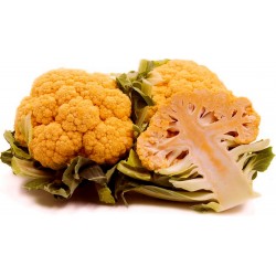 Narandzasti Karfiol Seme - Zdravo Povrce 2.75 - 4
