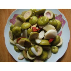 Cluster fig Seeds (Ficus racemose) 2.1 - 3