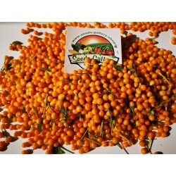 Torkade Charapita-frukter med frön 20 - 4