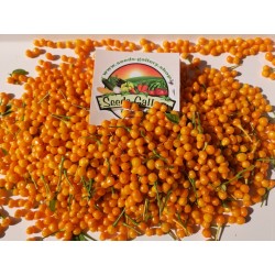 Torkade Charapita-frukter med frön 20 - 5