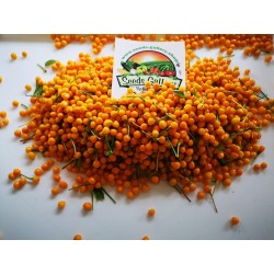 5 Fresh Charapita Fruits with Seeds - Limited time offer 10 - 3