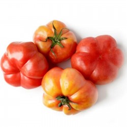 Sementes De Tomate Montserrat 1.95 - 2