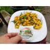 Sementes de pimentão Yellow Pointy | 1,75 €