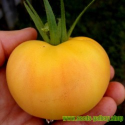 Garden Peach Tomato Seeds