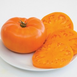 Sementes de tomate Laranja Beefsteak 2.15 - 3