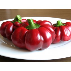 Semillas de pimienta-dulce-roja ROTUND 1.55 - 7