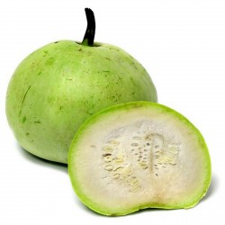 Семена тыквы Тинда, яблочная тыква (Praecitrullus fistulosus) 2.35 - 1