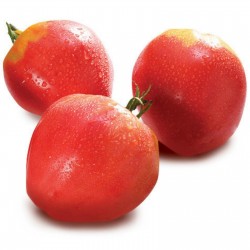 Sementes de Tomate VAL Variedade de Eslovênia 2 - 1