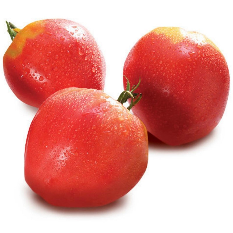 Seme paradajza VAL Sorta iz Slovenije 2 - 1