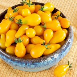Sementes Tomate Pera Amarelo - Yellow Pear 1.95 - 4