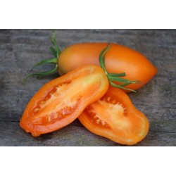 Sementes De Tomate Banana Laranja 1.85 - 3