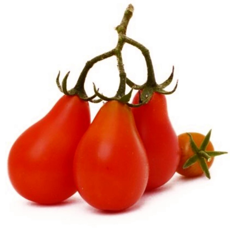 Red Pear, Rotes Birnchen Tomate Samen 1.9 - 1