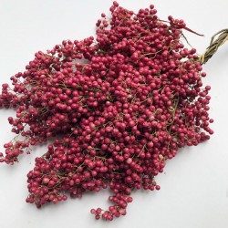 Peruanskt pepparträd frön (Schinus molle) 1.85 - 1