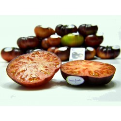 Mar Azul - Мар Азул семена томатов 1.75 - 7