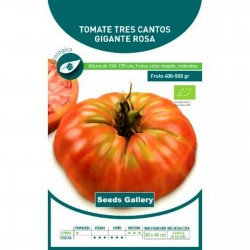Σπόροι ντομάτας Tres Cantos 1.95 - 1