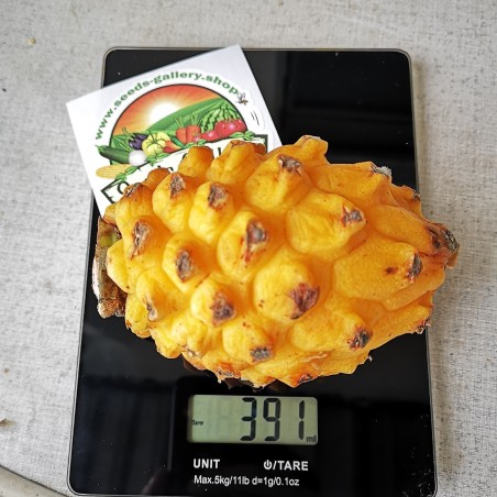 Graines de Pitaya Jaune - Fruit du Dragon (Selenicereus megalanthus) | 3,50 €